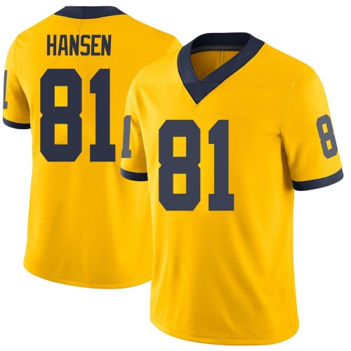 Louis Hansen Michigan Wolverines Youth NCAA #81 Maize Limited Brand Jordan College Stitched Football Jersey AMN1654TY